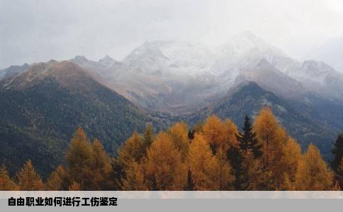 自由职业如何进行工伤鉴定