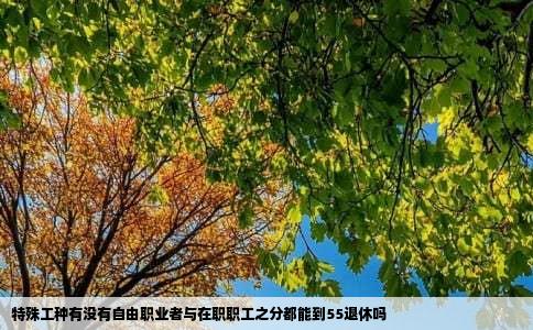 特殊工种有没有自由职业者与在职职工之分都能到55退休吗