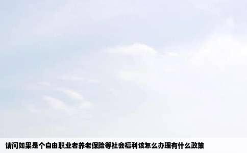 请问如果是个自由职业者养老保险等社会福利该怎么办理有什么政策