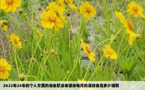 2022年25年的个人交费的自由职业者退休每月的退休金是多少钱啊