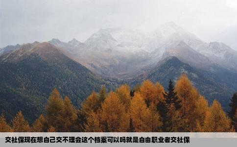 交社保现在想自己交不理会这个档案可以吗就是自由职业者交社保