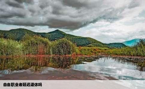 自由职业者延迟退休吗