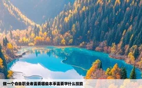 做一个自由职业者需要哪些本事需要学什么技能