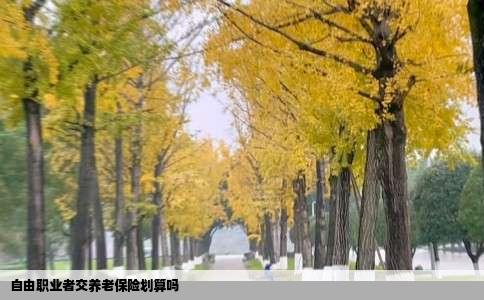 自由职业者交养老保险划算吗