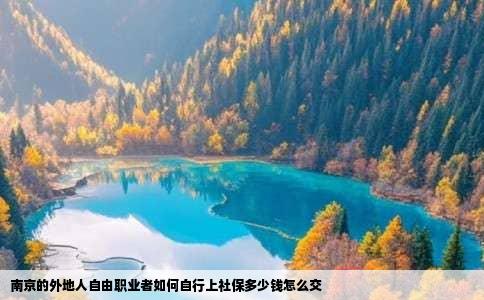 南京的外地人自由职业者如何自行上社保多少钱怎么交