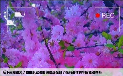 后下岗勉强交了自由职业者的保险现在到了提前退休的年龄能退休吗