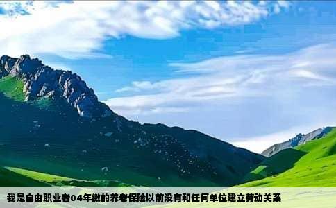 我是自由职业者04年缴的养老保险以前没有和任何单位建立劳动关系