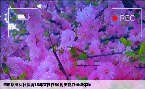 自由职业买社保满15年女性在50周岁能办理退休吗