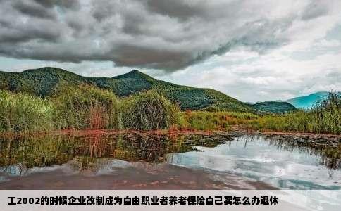 工2002的时候企业改制成为自由职业者养老保险自己买怎么办退休