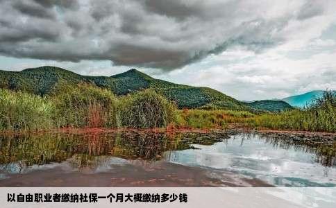 以自由职业者缴纳社保一个月大概缴纳多少钱