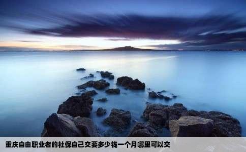 重庆自由职业者的社保自己交要多少钱一个月哪里可以交