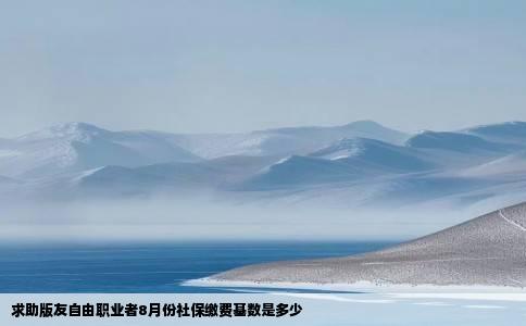 求助版友自由职业者8月份社保缴费基数是多少