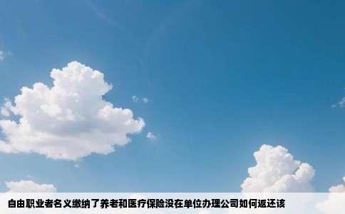 自由职业者名义缴纳了养老和医疗保险没在单位办理公司如何返还该