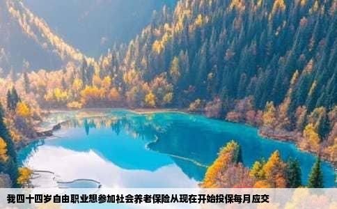 我四十四岁自由职业想参加社会养老保险从现在开始投保每月应交