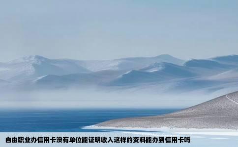 自由职业办信用卡没有单位能证明收入这样的资料能办到信用卡吗