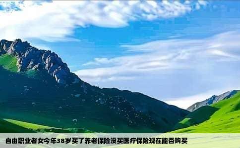 自由职业者女今年38岁买了养老保险没买医疗保险现在能否购买