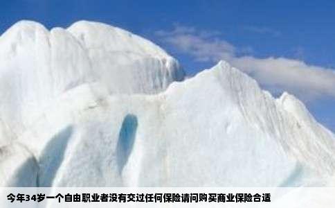 今年34岁一个自由职业者没有交过任何保险请问购买商业保险合适