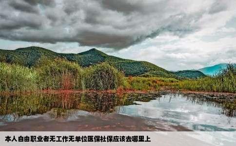 本人自由职业者无工作无单位医保社保应该去哪里上