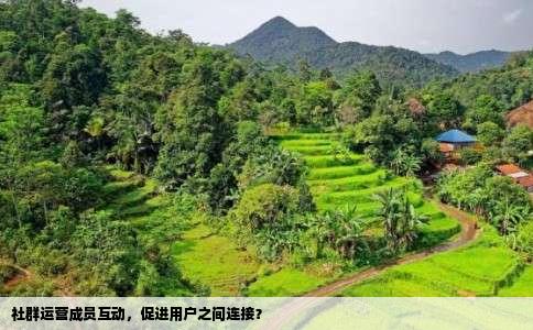 社群运营成员互动，促进用户之间连接？