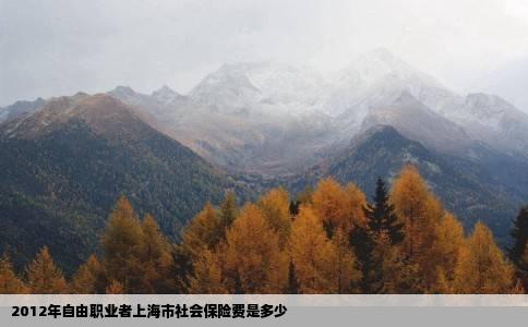 2012年自由职业者上海市社会保险费是多少