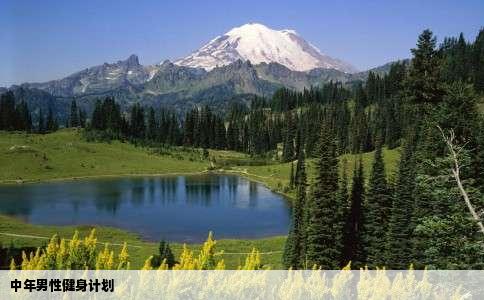 中年男性健身计划