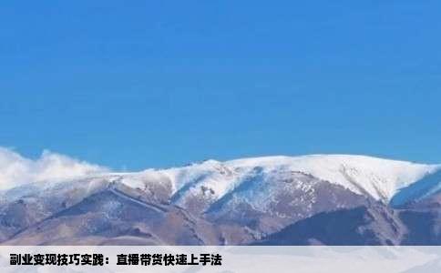副业变现技巧实践：直播带货快速上手法
