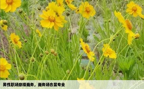 男性职场穿搭商务，商务场合显专业