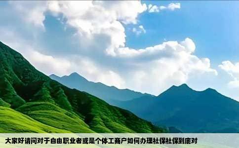 大家好请问对于自由职业者或是个体工商户如何办理社保社保到底对