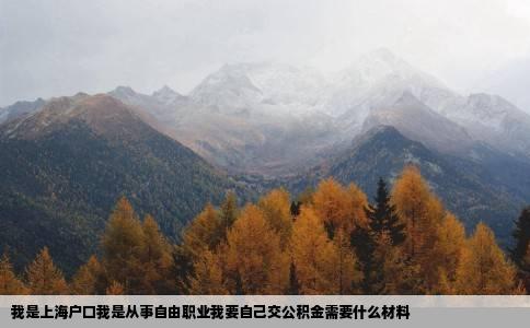 我是上海户口我是从事自由职业我要自己交公积金需要什么材料