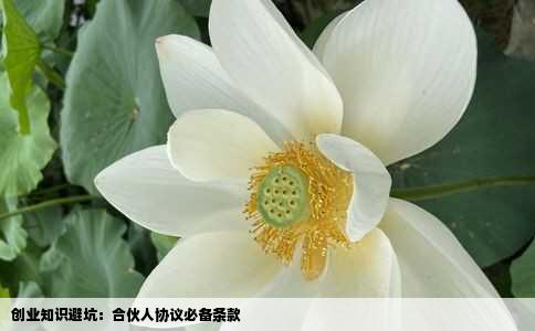 创业知识避坑：合伙人协议必备条款