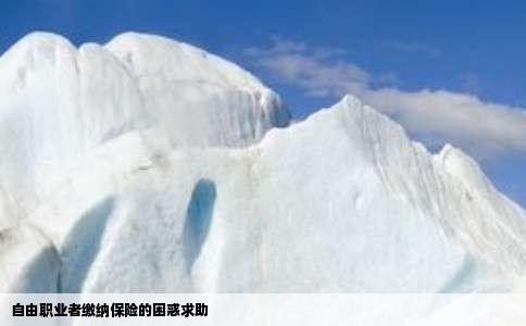 自由职业者缴纳保险的困惑求助