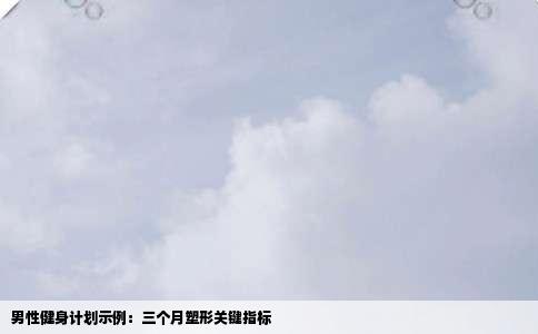 男性健身计划示例：三个月塑形关键指标