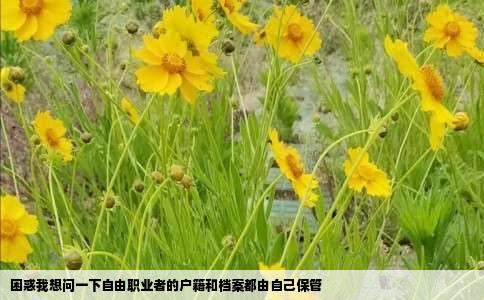 困惑我想问一下自由职业者的户籍和档案都由自己保管