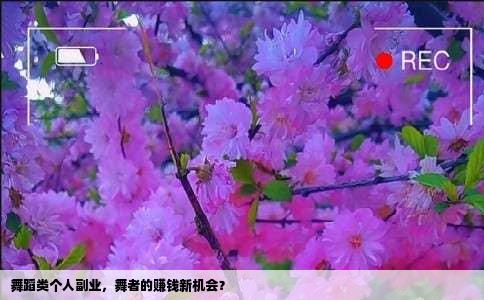 舞蹈类个人副业，舞者的赚钱新机会？