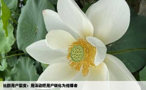 社群用户裂变：用活动把用户转化为传播者