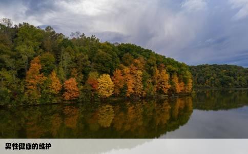 男性健康的维护