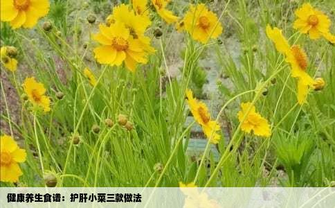 健康养生食谱：护肝小菜三款做法