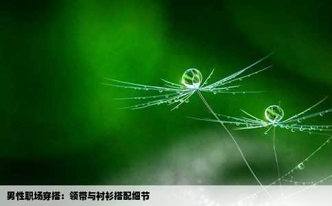 男性职场穿搭：领带与衬衫搭配细节