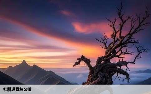 社群运营怎么做