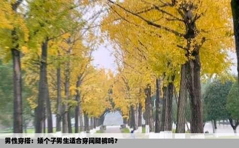 男性穿搭：矮个子男生适合穿阔腿裤吗？