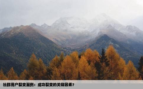 社群用户裂变案例：成功裂变的关键因素？
