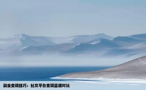 副业变现技巧：社交平台变现渠道对比
