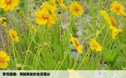 男性健康：预防脱发的生活建议