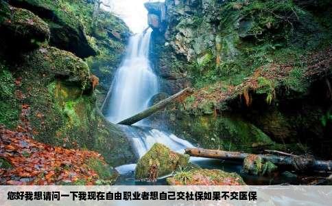 您好我想请问一下我现在自由职业者想自己交社保如果不交医保