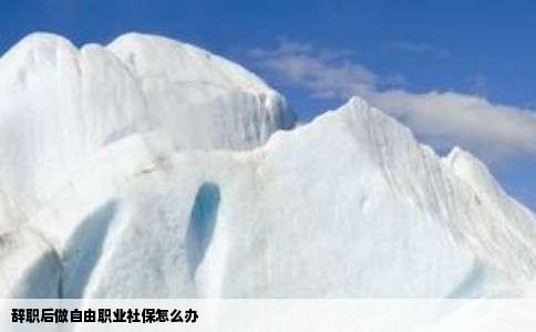 辞职后做自由职业社保怎么办