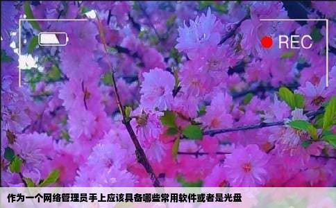 作为一个网络管理员手上应该具备哪些常用软件或者是光盘