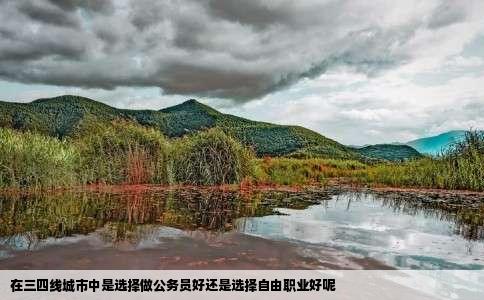 在三四线城市中是选择做公务员好还是选择自由职业好呢