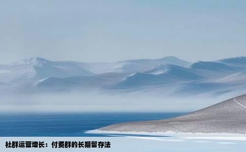 社群运营增长：付费群的长期留存法