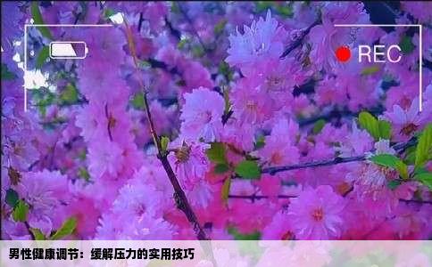 男性健康调节：缓解压力的实用技巧