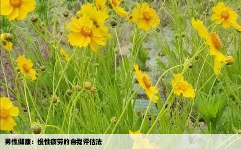 男性健康：慢性疲劳的自我评估法